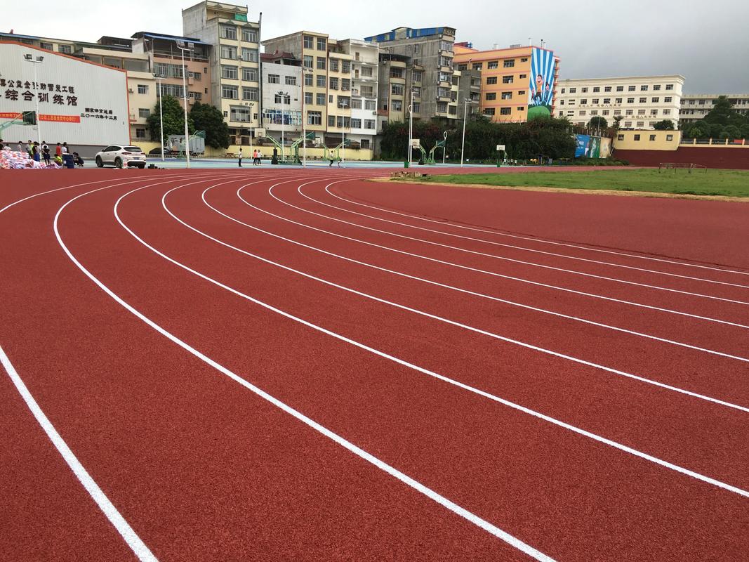 新余市塑胶跑道塑胶跑道材料 - 价格